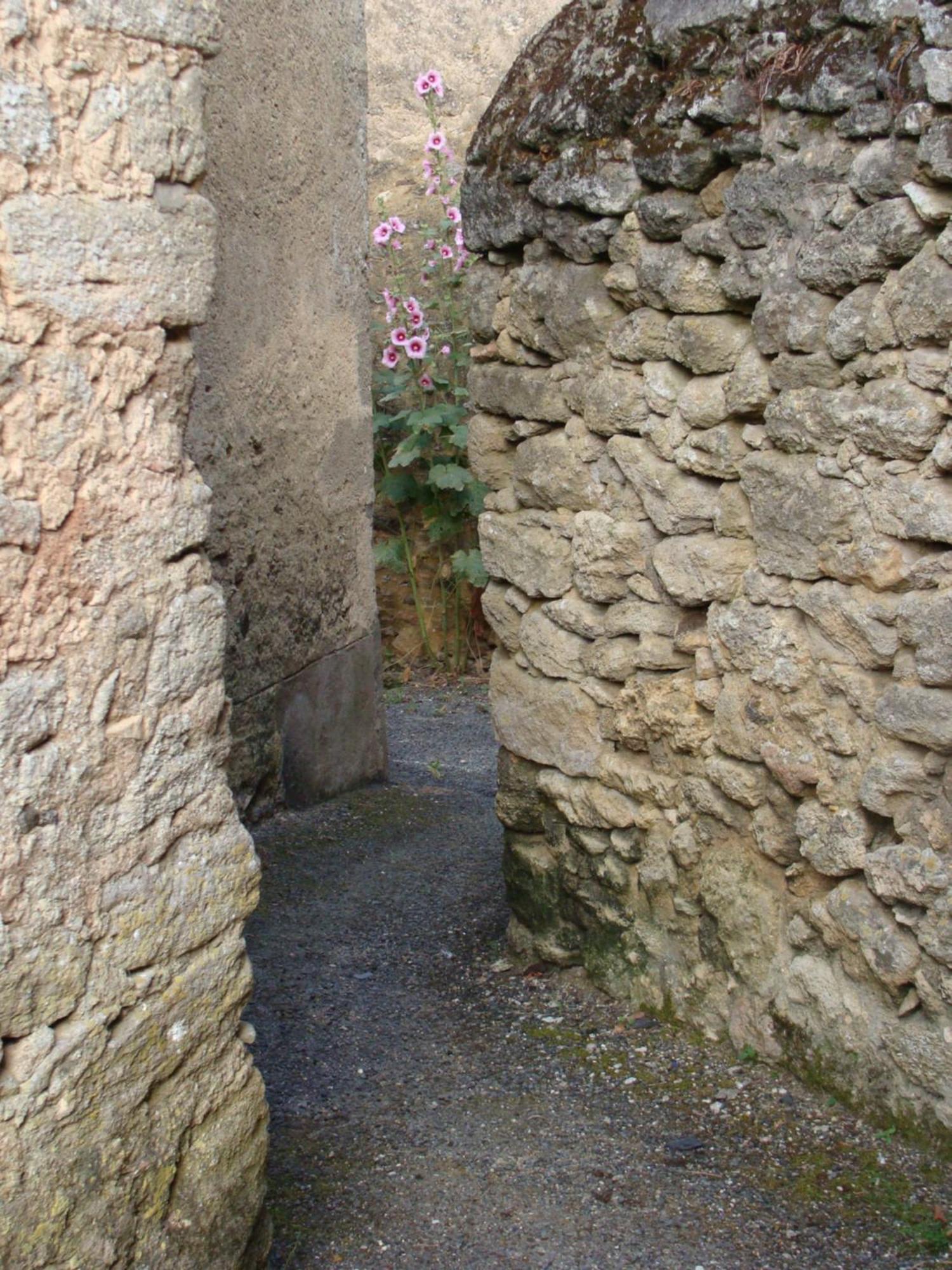 Gite Cote Ruelle Martigné-Briand Exteriör bild